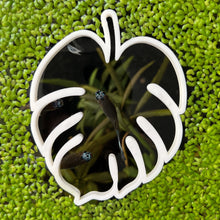 Cargar imagen en el visor de la galería, Monstera Portal Feeding Ring