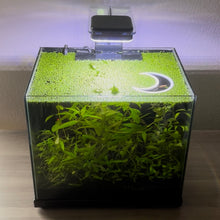 Cargar imagen en el visor de la galería, Moon Portal Feeding Ring