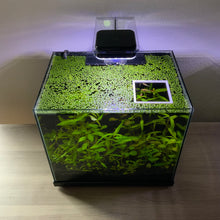 Load image into Gallery viewer, Square Portal Feeding Ring