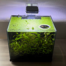 Load image into Gallery viewer, Dog Portal Feeding Ring