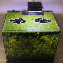 Load image into Gallery viewer, 2 Akatsuki Cloud Portal Pack