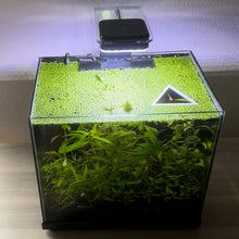 Load image into Gallery viewer, Triangle Portal Feeding Ring