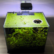 Cargar imagen en el visor de la galería, Sun Portal Feeding Ring