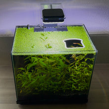 Cargar imagen en el visor de la galería, Bread Portal Feeding Ring