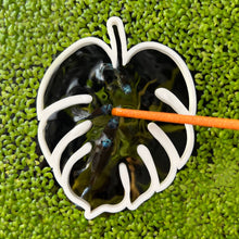 Cargar imagen en el visor de la galería, Monstera Portal Feeding Ring