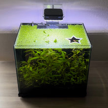 Cargar imagen en el visor de la galería, Star Portal Feeding Ring