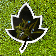 Load image into Gallery viewer, Leaf Portal Feeding Ring