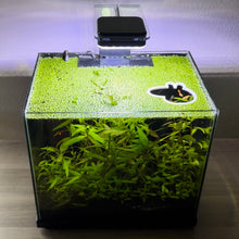 Load image into Gallery viewer, Peppa Pig Portal Feeding Ring