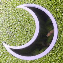 Cargar imagen en el visor de la galería, Moon Portal Feeding Ring