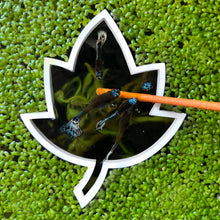Load image into Gallery viewer, Leaf Portal Feeding Ring