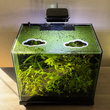 Load image into Gallery viewer, 2 Cloud Portal Pack