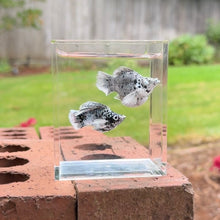 Load image into Gallery viewer, Dalmation Balloon Molly Pair
