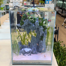 Cargar imagen en el visor de la galería, Waterfall Tank Kit C1 (30CM) - 9.5g
