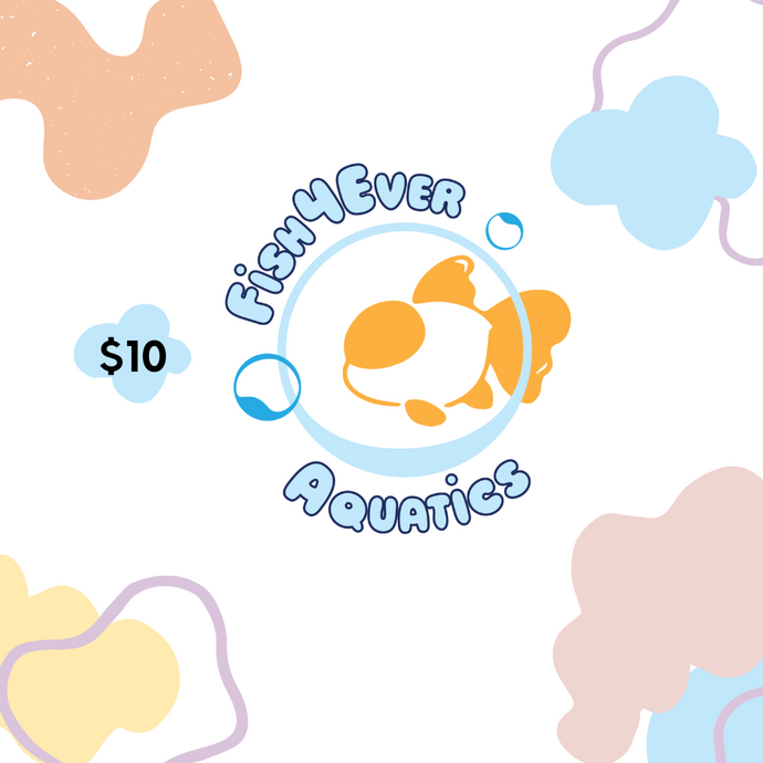Fish4Ever Aquatics Gift Cards