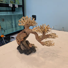 Load image into Gallery viewer, Arched Bonsai Driftwood Tree
