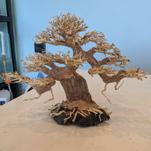 Cargar imagen en el visor de la galería, Twisted Bonsai Driftwood Tree
