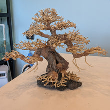 Cargar imagen en el visor de la galería, Twisted Bonsai Driftwood Tree
