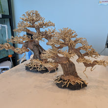 Cargar imagen en el visor de la galería, Twisted Bonsai Driftwood Tree
