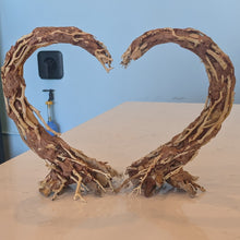 Load image into Gallery viewer, Crescent Shaped Bonsai Aquarium Driftwood
