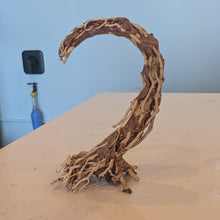 Load image into Gallery viewer, Crescent Shaped Bonsai Aquarium Driftwood

