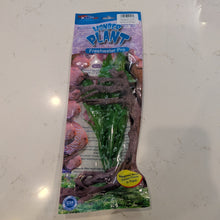 Cargar imagen en el visor de la galería, Weco Freshwater Pro Series Amazon Ruffled Sword Aquarium Plant (9 in)
