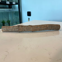 Cargar imagen en el visor de la galería, Forest Aquascape Tree Log Wood | Small
