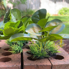 Cargar imagen en el visor de la galería, Realistic Artificial Aquarium Plant | Multi-Pack
