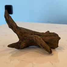 Load image into Gallery viewer, aquavitro Ceramic Hides Aquatic Ornament B2
