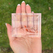 Load image into Gallery viewer, Crimson Rose Glass Belly Guppy Pair
