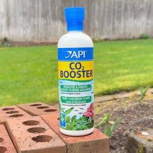 Cargar imagen en el visor de la galería, API CO2 Booster
