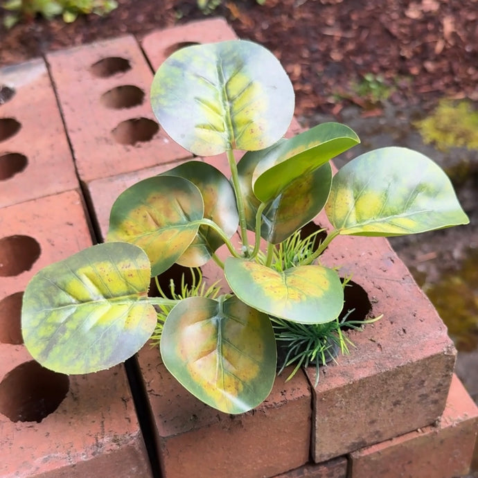 Realistic Artificial Aquarium Plant | Yellow Green