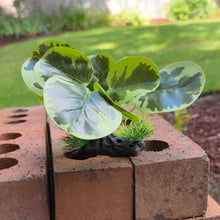Cargar imagen en el visor de la galería, Realistic Artificial Aquarium Plant | Light Green
