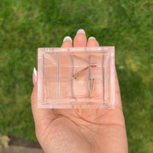 Load image into Gallery viewer, Autumn Glass Belly Guppy Pair
