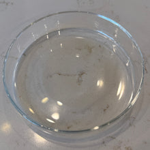 Load image into Gallery viewer, Glass Shrimp Feeding Dish (large)
