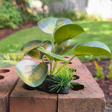 Cargar imagen en el visor de la galería, Realistic Artificial Aquarium Plant | Yellow Green
