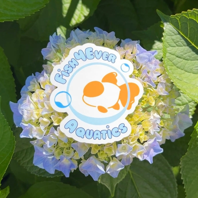 Fish4Ever Aquatics Sticker