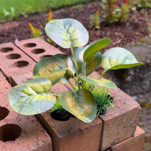 Cargar imagen en el visor de la galería, Realistic Artificial Aquarium Plant | Yellow Green
