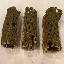 Cargar imagen en el visor de la galería, Christmas Moss on Large Cholla Driftwood Tunnel Tubes (live plant attached)
