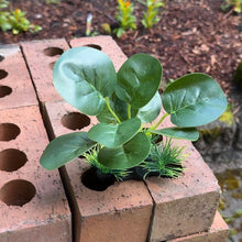 Cargar imagen en el visor de la galería, Realistic Artificial Aquarium Plant | Dark Green
