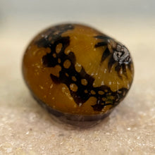 Cargar imagen en el visor de la galería, Batik Nerite Snail
