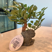 Load image into Gallery viewer, Penn-Plax Bonsai Tree Ornament
