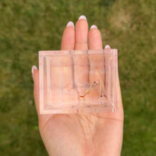 Load image into Gallery viewer, Ribboned Apricot Sunrise Glass Belly Guppy Pair
