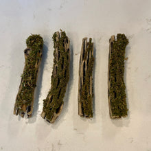 Cargar imagen en el visor de la galería, Christmas Moss on Small Cholla Driftwood (live plant attached)

