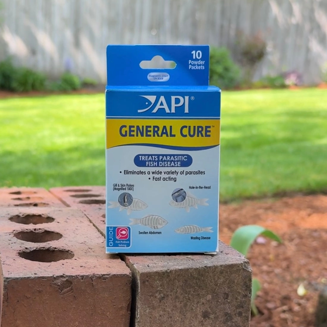 Cured Fish Packet Ick Treatment For Fish API Fungus Cure Fish Aquarium Infection ...