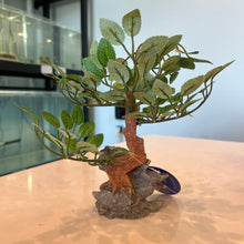 Load image into Gallery viewer, Penn-Plax Bonsai Tree Ornament
