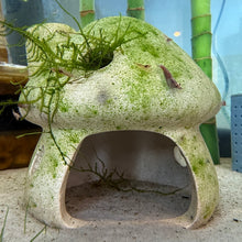 Load image into Gallery viewer, Ceramic Shrimp/ Fish Hut Decor
