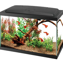 Cargar imagen en el visor de la galería, Aqueon Aquarium Fish Tank Starter Kit with LED Lighting | 5.5 gal
