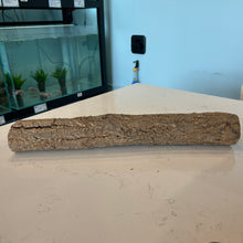 Cargar imagen en el visor de la galería, Forest Aquascape Tree Log Wood | Medium
