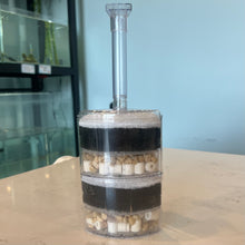 Load image into Gallery viewer, Double Corner Sponge Filter - Up to 40 gallons
