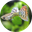 Fish4EverAquatics.com logo